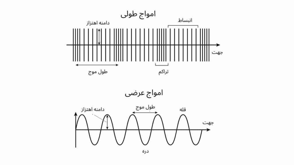 تصویری از نمونه های امواج طولی و عرضی که امواج طولی توسط خطوط موازی عمودی نشان داده شده که دارای طول موج بود و در یک قسمت با نزدیک شدن خطوط تراکم ایجاد شده است و امواج عرضی توسط خطوط موجی نشان داده شده که دارای قله و نشیب میباشد