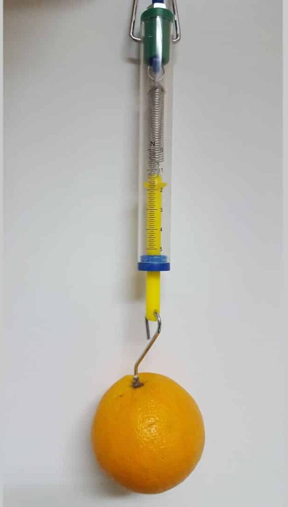 دینامومتر که یک مالته بر سر آن آویزان است