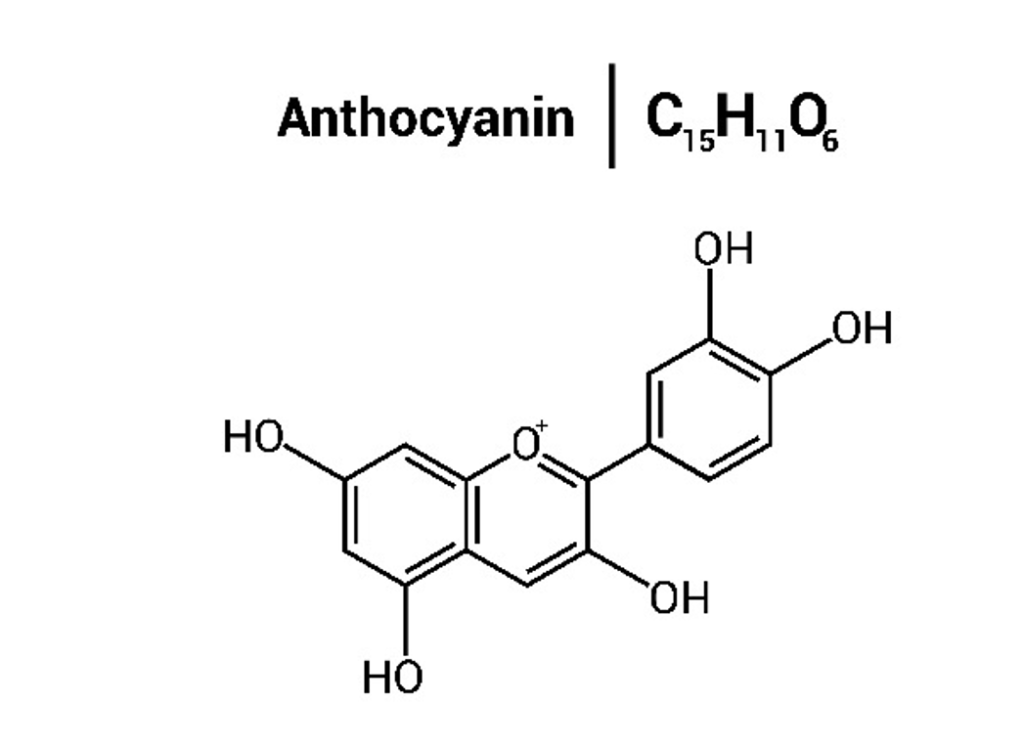 ساختمان آنتوسیانین