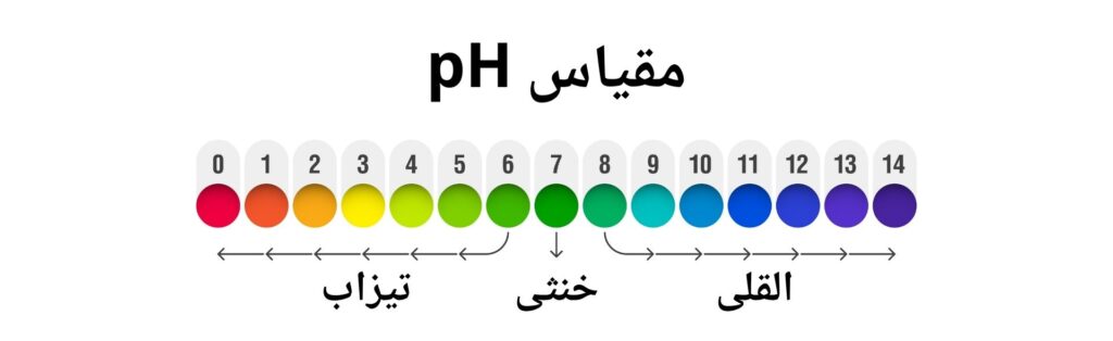 تصویری از اندازه های متفاوت مقیاس pH که کوچکتر از 7 تیزاب را نشان میدهد، بزرگتر از 7 القلی را نشان میدهد و مساوی به 7 خنثی را نشان میدهد