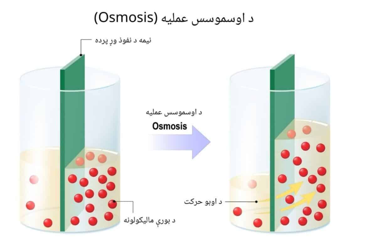 د آسموس عملیه (OSMOSIS) د آسموس عملیه (OSMOSIS)