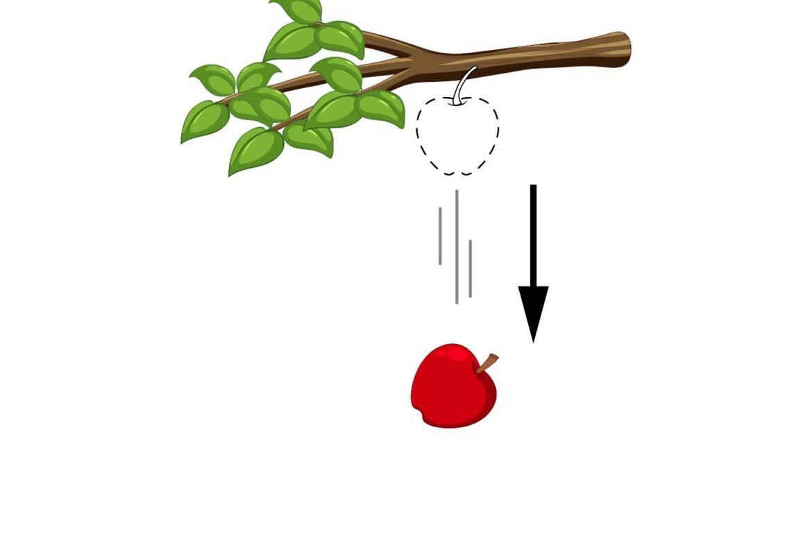 سقوط آزاد (Free Fall)